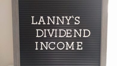 dividend-income-summary:-lanny’s-august-2024-summary