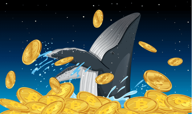 whale-accumulation-soars:-12-alt-coins-and-presale-cryptocurrency-set-to-explode-before-2026