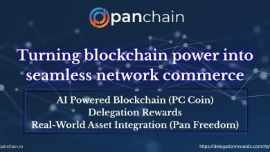 understanding-panchain-ecosystem